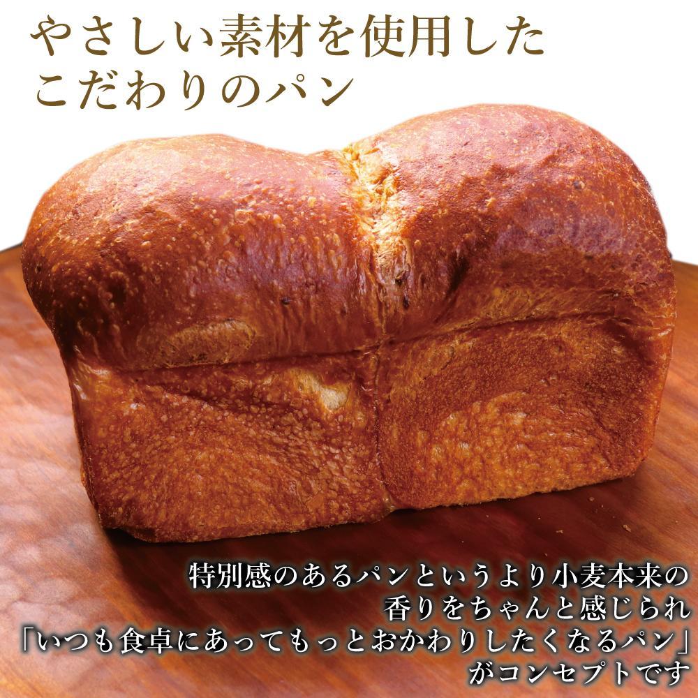 【定期便全12回】【福岡市】マツパンのパンセット11個（リッチ食パン2本、ライ麦パン1個、メロンパン3個、塩パン3個、くるみとレーズン2個） | 食品 加工食品 人気 おすすめ 送料無料 ベーカリー