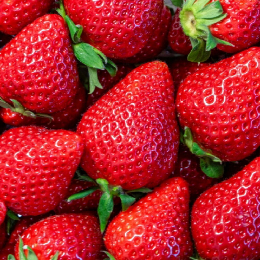 【定期便全3回】福岡県産 完熟 博多あまおう 270g×4【2027年2月1日～発送】 フルーツ 果物 くだもの 食品 おすすめ 送料無料