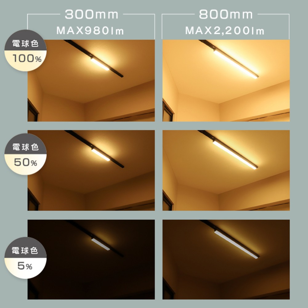 エジソンスマート ラインライト 300mm for ダクトレール ブラック 福岡市