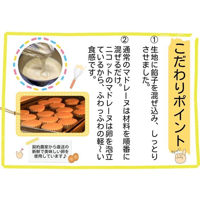 福岡油山 マドレーヌ 10個入り