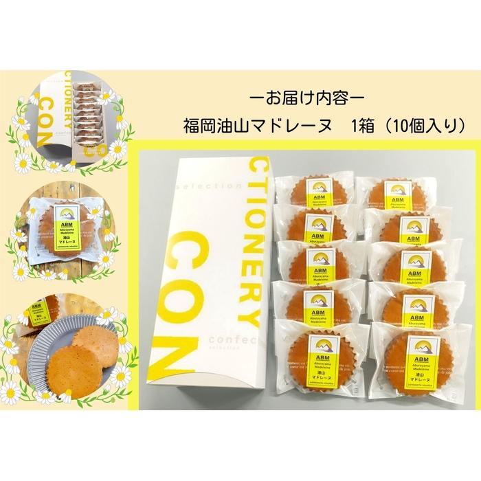 福岡油山 マドレーヌ 10個入り