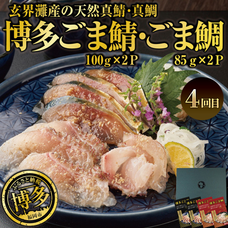 博多うまか 定期便 4回（博多ごま鯖セット/辛子明太子 1本もの/博多もつ鍋3～4人前/博多ごま鯖&ごま鯛） ま鯖 博多 お取り寄せ 天然真鯖 ごま鯖 長浜市場 鮮魚 冷凍 ごまさば 個包装 九州 醤油 ごま鯖 福岡 郷土料理 魚卵 魚介類 水産 食品