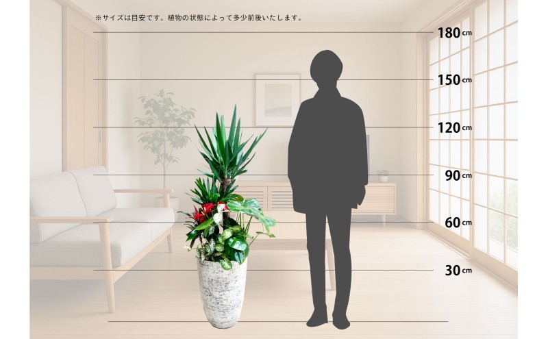 【福岡市】観葉植物の寄せ植え（ユッカ）観葉植物 植物 花 木 インテリア アクセント