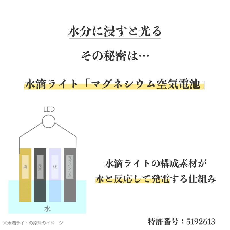 豌エ貊エ繝ゥ繧、繝(3蛟) 遖丞イ。蟶ょ繝励Ο繝繝・繝シ繧ケ雋ゥ螢イ