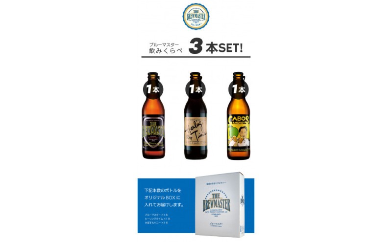 【福岡市城南区のクラフトビール醸造所】ブルーマスター 飲み比べ 3本セット