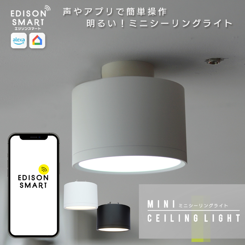 エジソンスマート ミニシーリングライト 引掛けシーリング用 福岡市【ブラック】
