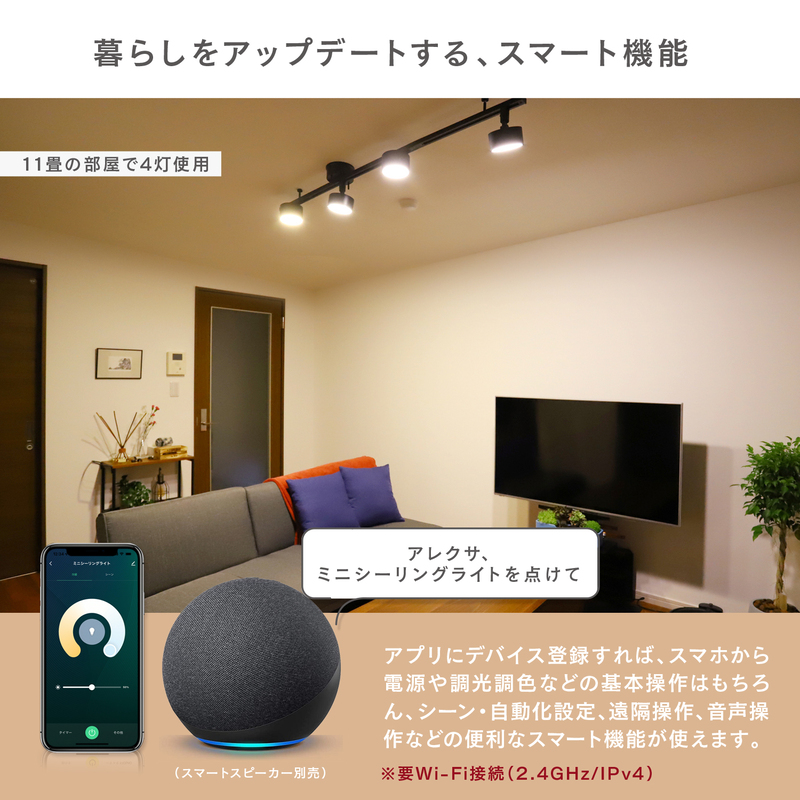 エジソンスマート ミニシーリングライト for ダクトレール 福岡市【ブラック】