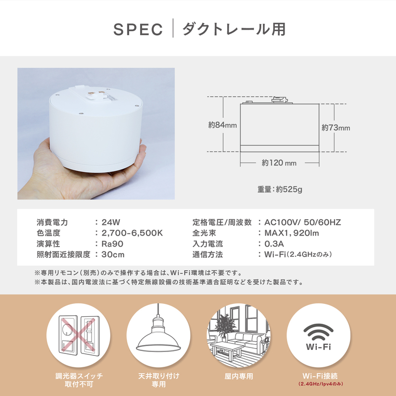 エジソンスマート ミニシーリングライト for ダクトレール 福岡市【ブラック】