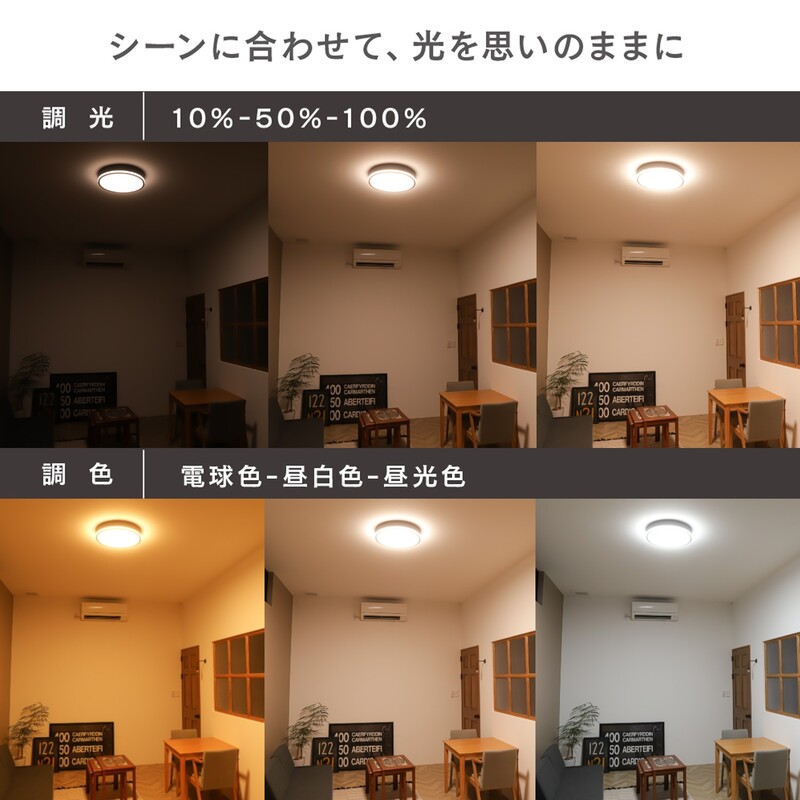 エジソンスマート TREO シーリングライト 福岡市【ブラック】