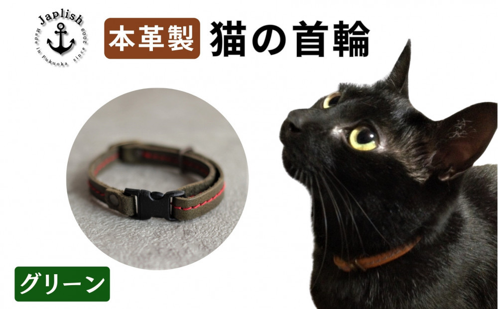 レザーの猫首輪 子猫～成猫対応 博多革工房 Japlish ジャプリッシュ【グリーン】