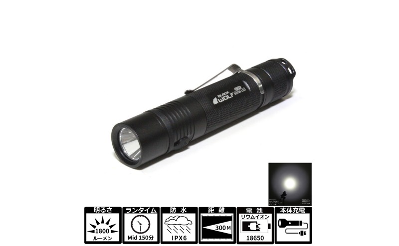 LEDフラッシュライト N10R USB Type-C充電対応
