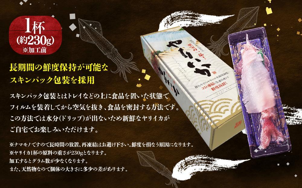 ãçŠå²¡åžãç¹AãåŒåã€ãªã€ã«å§¿é ãåºèº«ã1æ¯(çŽ230gå å·¥å)