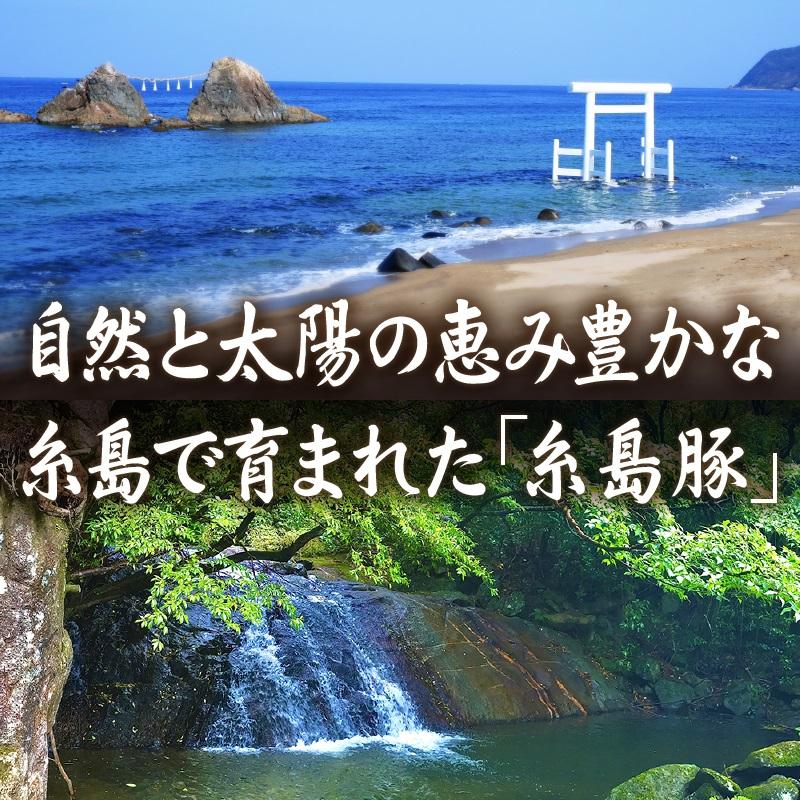 【博多】おぜんや　うまか豚まん