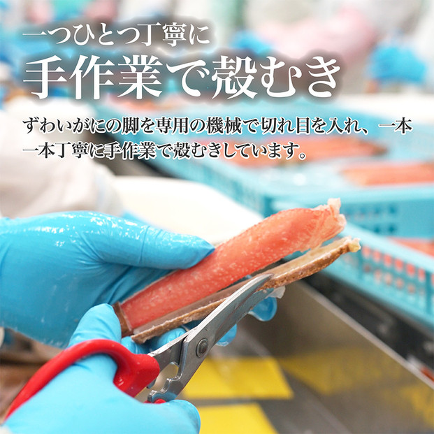 生ズワイガニ ポーション 太脚だけ 肩肉無し 500g 生食OK 大サイズ13-15本 ＜福岡市内製造＞