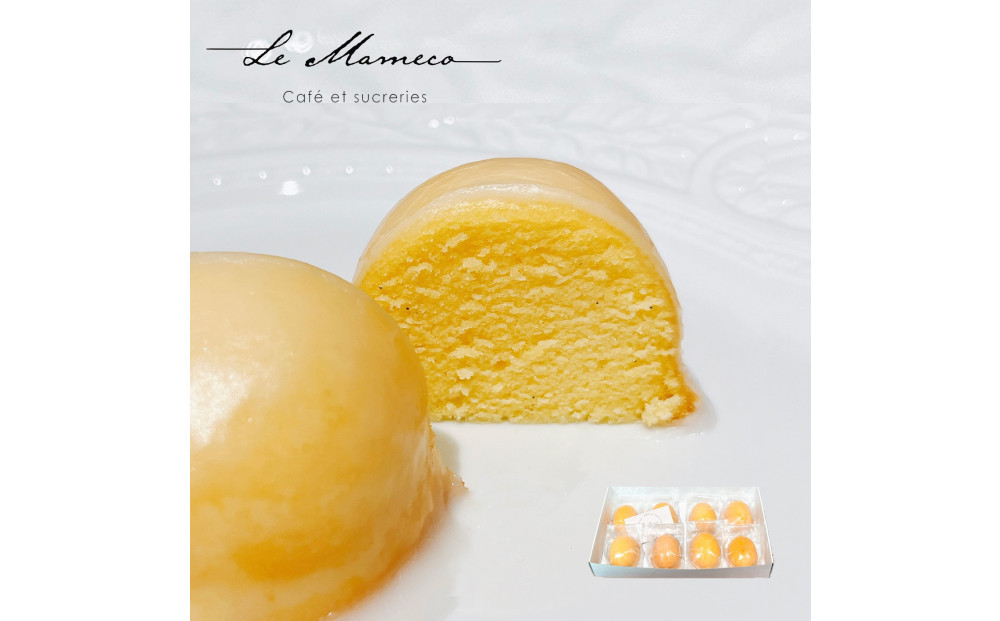 【福岡市】【ル・マメコ】レモンケーキBOX　8個入
