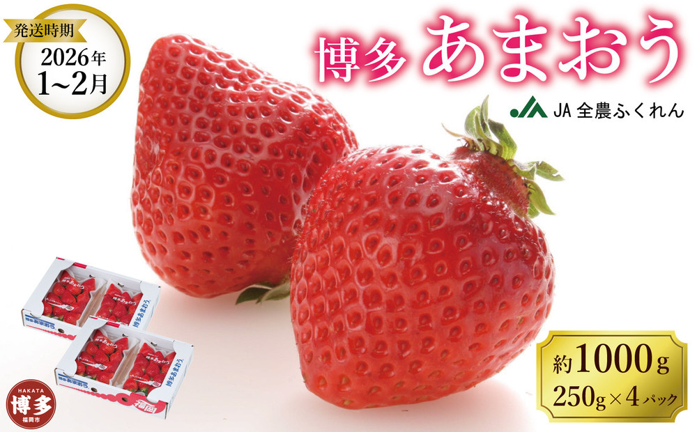 ＜2026年1月～２月発送＞博多あまおう約250ｇ×４