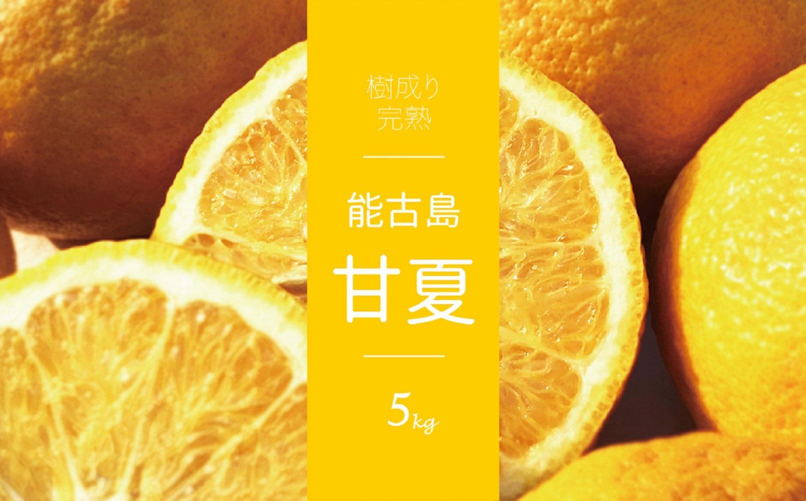 ＜先行受付：2026年4月以降発送＞福岡県　能古島産　甘夏5kg