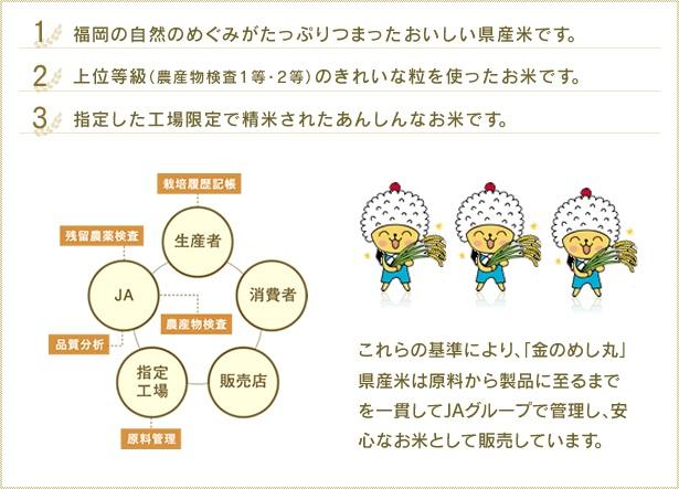 福岡県産めし丸元気つくし　10kg