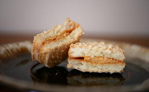 ダックワーズ10袋入り★福岡市生まれのフランス菓子