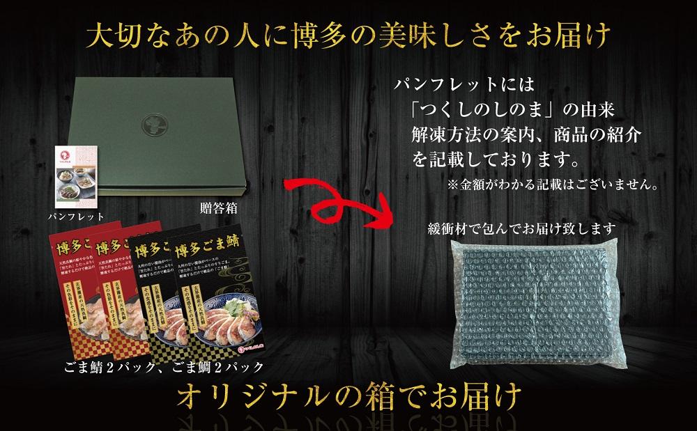 é·æµåžå Žæ°Žæã倩ç¶ãããŸé¯ïŒããŸé¯ïŒå2ããã¯ïŒ