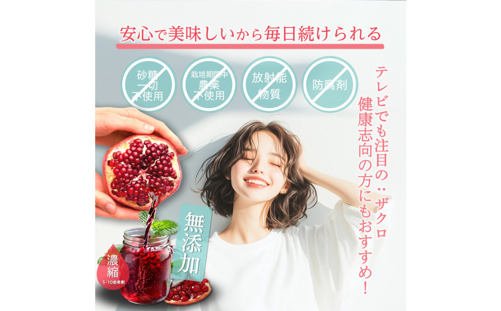 【全3回】魅惑ザクロ GINGER Boost(福岡市返礼品)【3袋入り】