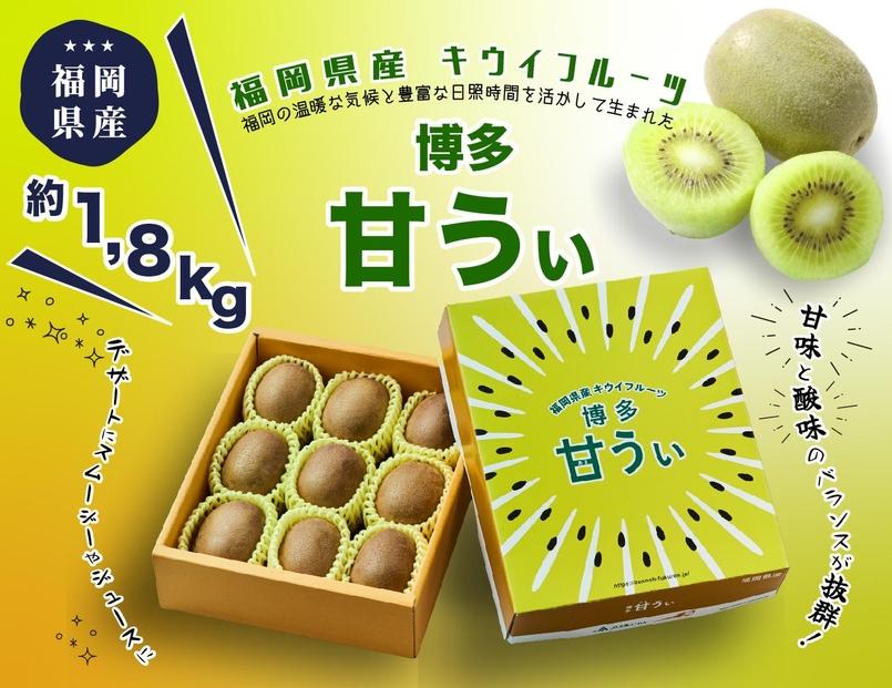 シ2026蟷エ逋コ騾∝繝サ蜈郁。御コ育エシ槫忽螟壹檎曝縺縺縲阪ョ雍豐「譫懷ョ 邏1.8kg