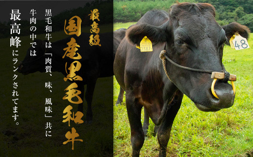 【もつ鍋一藤】国産黒毛和牛もつ鍋醤油(2～3人前)