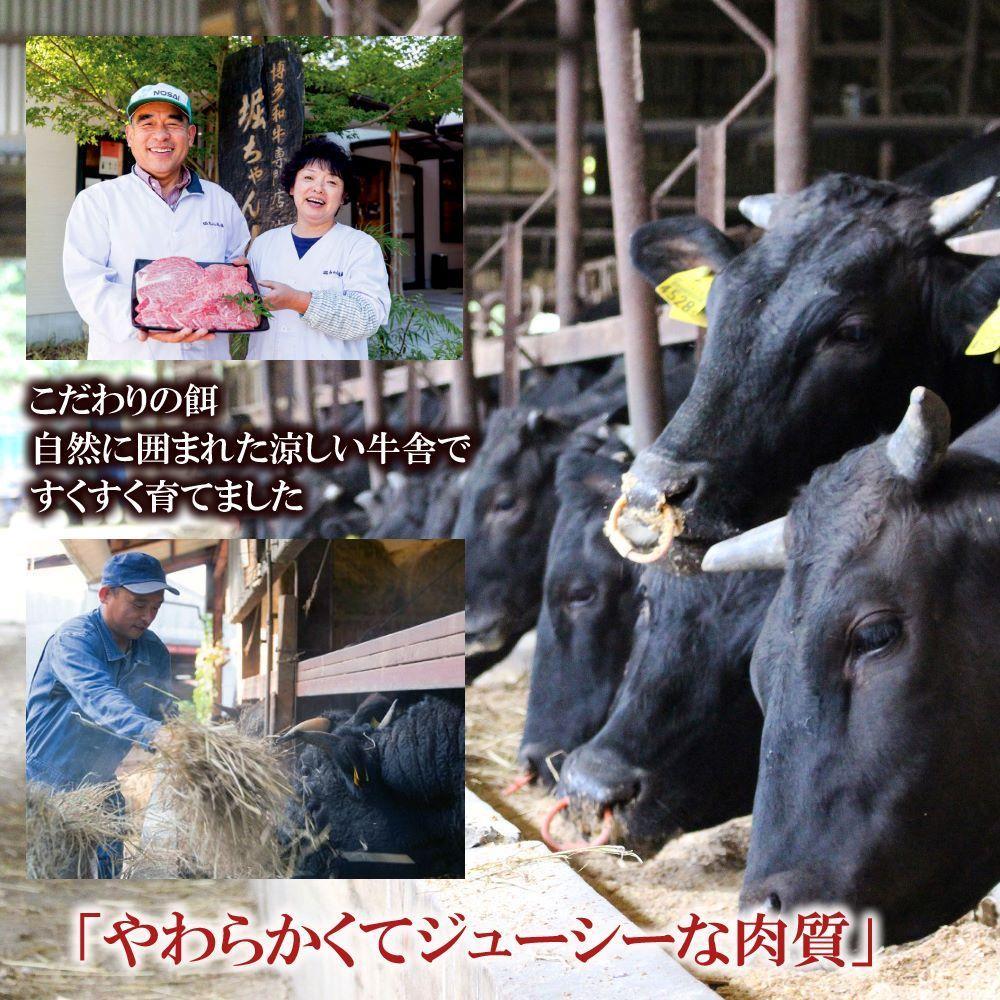 福岡県産 黒毛和牛A4ランク以上の博多和牛！ 極上食べ比べセット