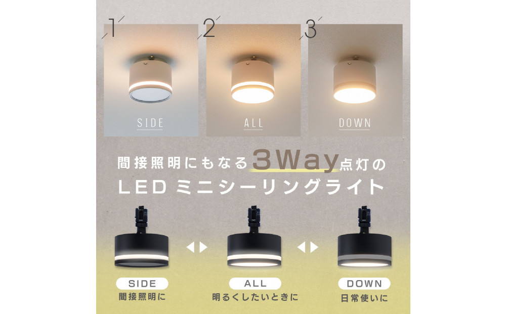 ãšãžãœã³ã¹ããŒã TREO ããã·ãŒãªã³ã°ã©ã€ã åŒæãã·ãŒãªã³ã°çš ããã¯ã€ãã çŠå²¡åž