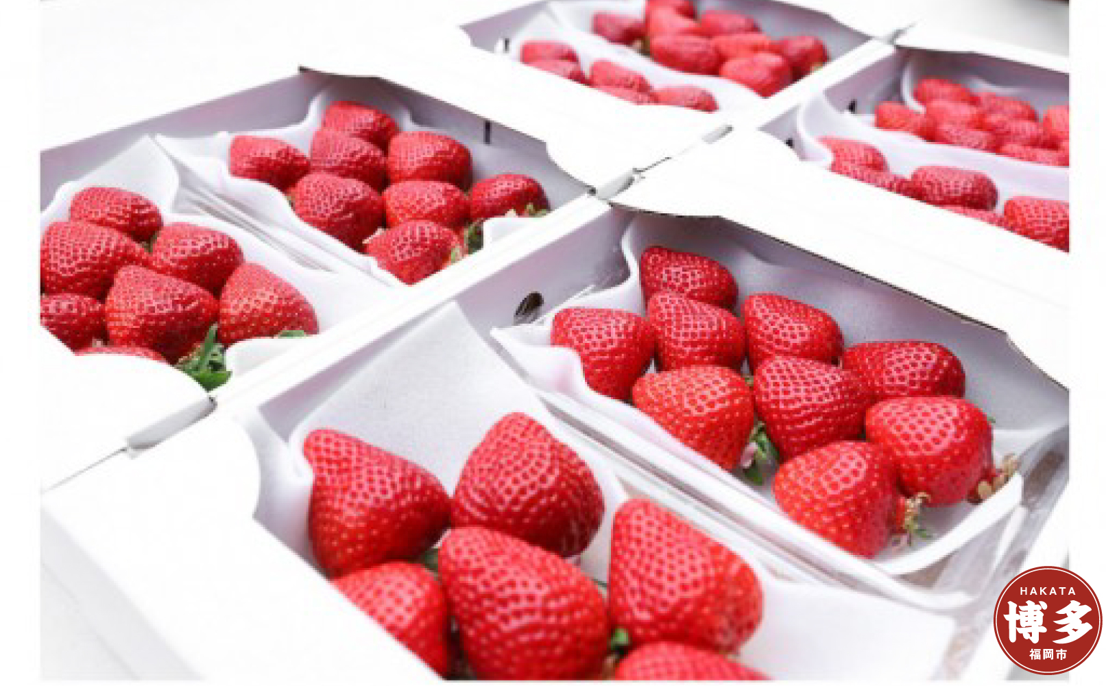 朝どり完熟あまおう8P　福岡市志賀島産