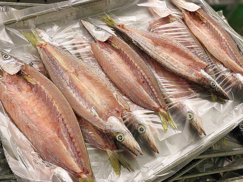 譏斐↑縺後i縺ョ陬ス豕輔〒菴懊▲縺溷ケイ迚ゥ隧ー蜷医○