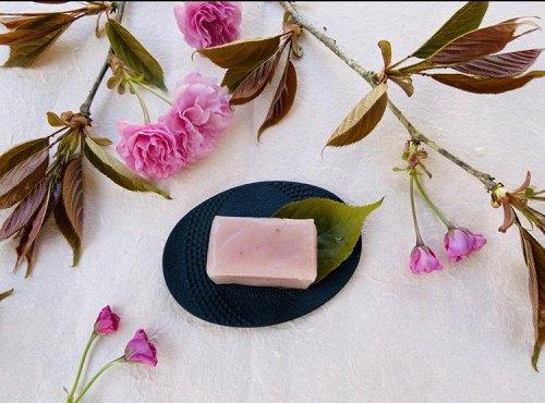 さくら入り博多ういろう詰め合わせ