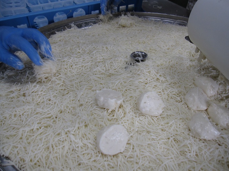 博多玄海しゅうまいセット