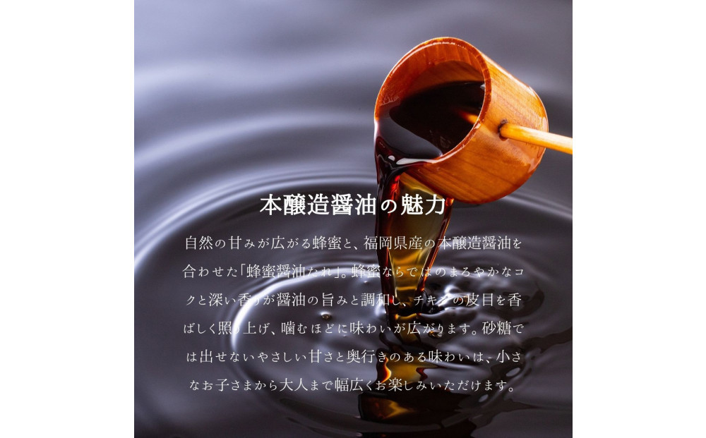 çŠå²¡çºïŒããŒã¹ãããã³å°éåºã®ãã ããã¢ã¢èãšã¬ãã°ããã³ã®ã»ããïŒç§äŒã®èè逿²¹ã¿ã¬ïŒ