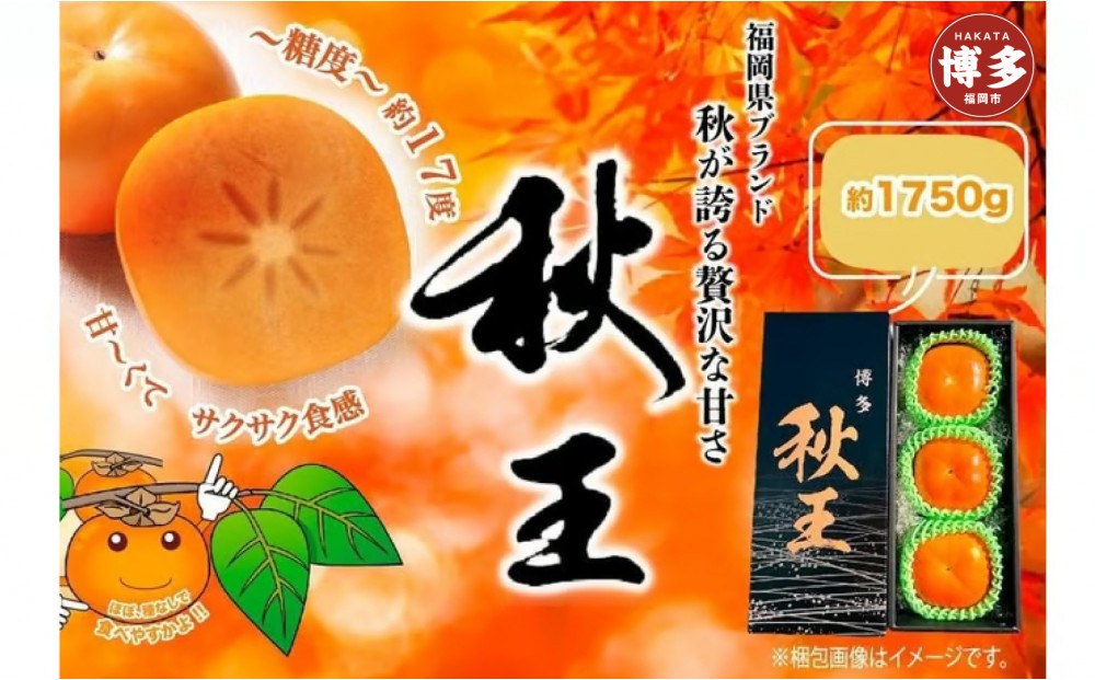 ＜2026年発送分・先行予約＞秋王　約1750g