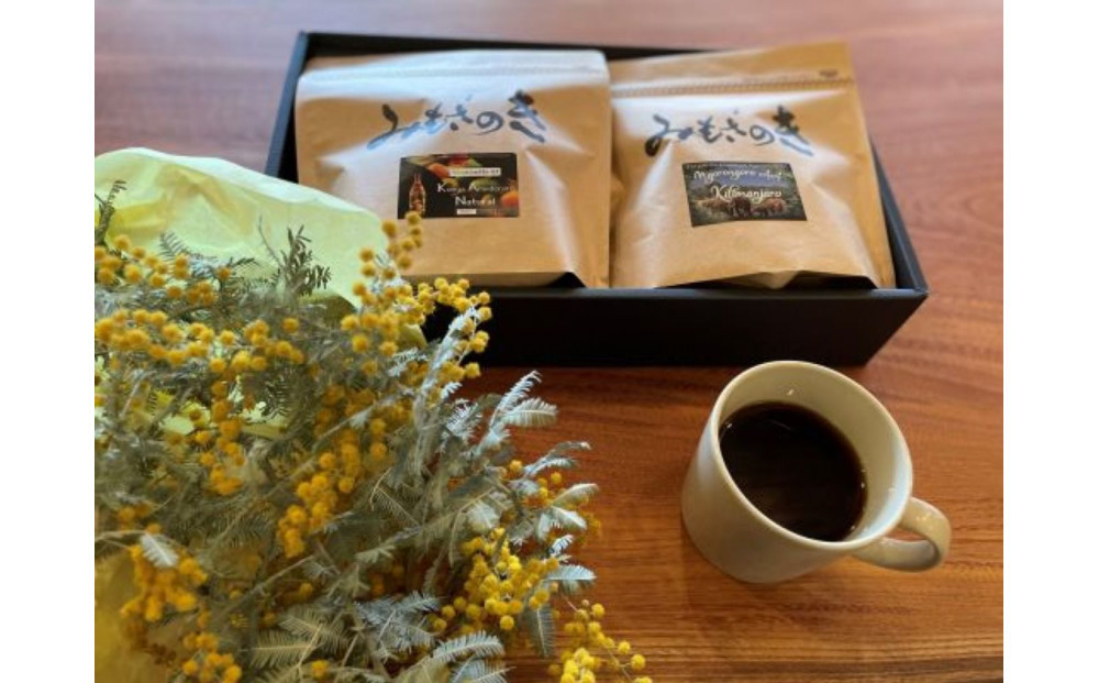 みもざのき珈琲豆　浅煎りセット　各200g【福岡市】