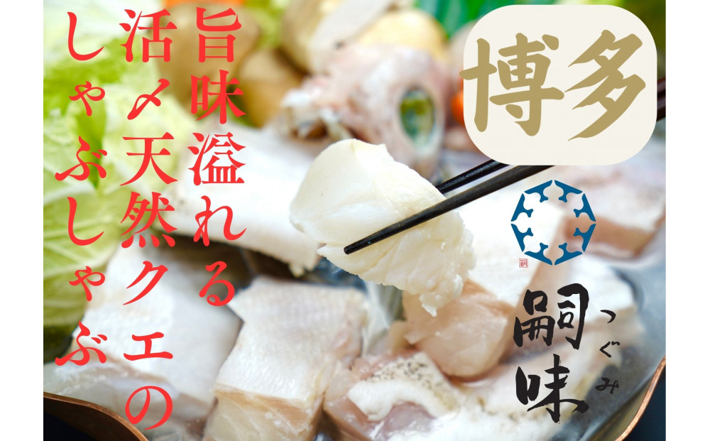 博多　嗣味　活〆天然クエのしゃぶしゃぶ　２～３人前