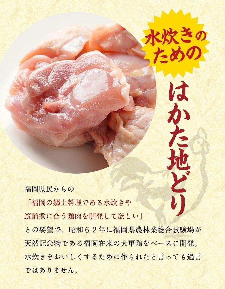 ã¯ããå°ã©ãæ°Žçãã»ããã3ïœ4人åã