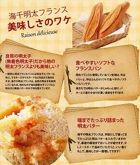 譏主、ェ蟄仙ア九′菴懊▲縺溘%縺繧上j縺ョ繝代Φ繧サ繝繝