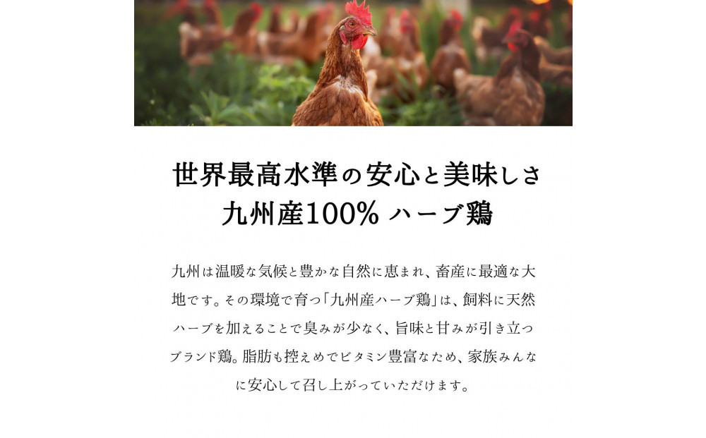 çŠå²¡çºïŒããŒã¹ãããã³å°éåºã®ãã ããã¢ã¢èãšã¬ãã°ããã³ã®ã»ããïŒç§äŒã®èè逿²¹ã¿ã¬ïŒ