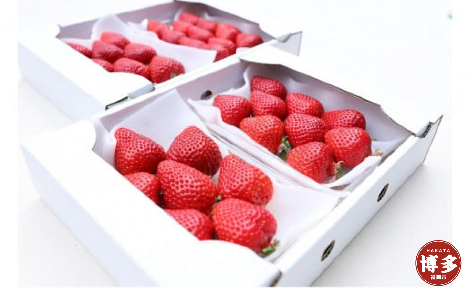 朝どり完熟あまおう4P　福岡市志賀島産