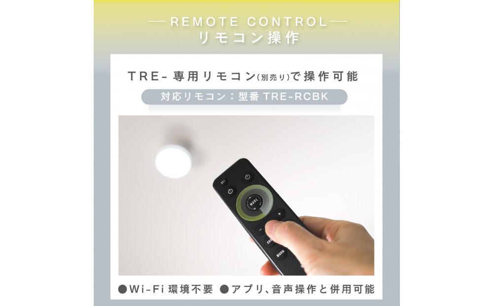 エジソンスマート TREO ミニシーリングライト アーム付き(ダクトレール用) 【ブラック】 福岡市