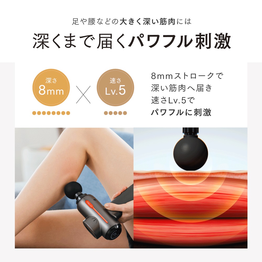 【福岡市】MYTREX REBIVE２