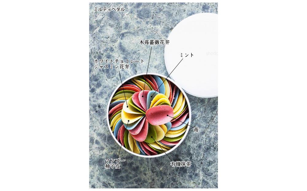 ãè±ã³ãã®ãããªãã§ã³ã¬ãŒã ãã«ãã£ãã¿ã«ã6ã€ã®ãã¬ãŒããŒããæ¥œãã¿ãã ããïŒçŠå²¡åžïŒ