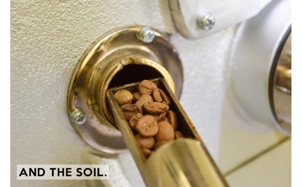 ãçŠå²¡é«ç ãAND THE SOIL.ãªãªãžãã«çç
ãã£ã«ãã§ãªãŒã¬ããã¯ã³ãŒããŒè±MEXãæ·±ç
ã100gäžç
ã100g(åèš200g)