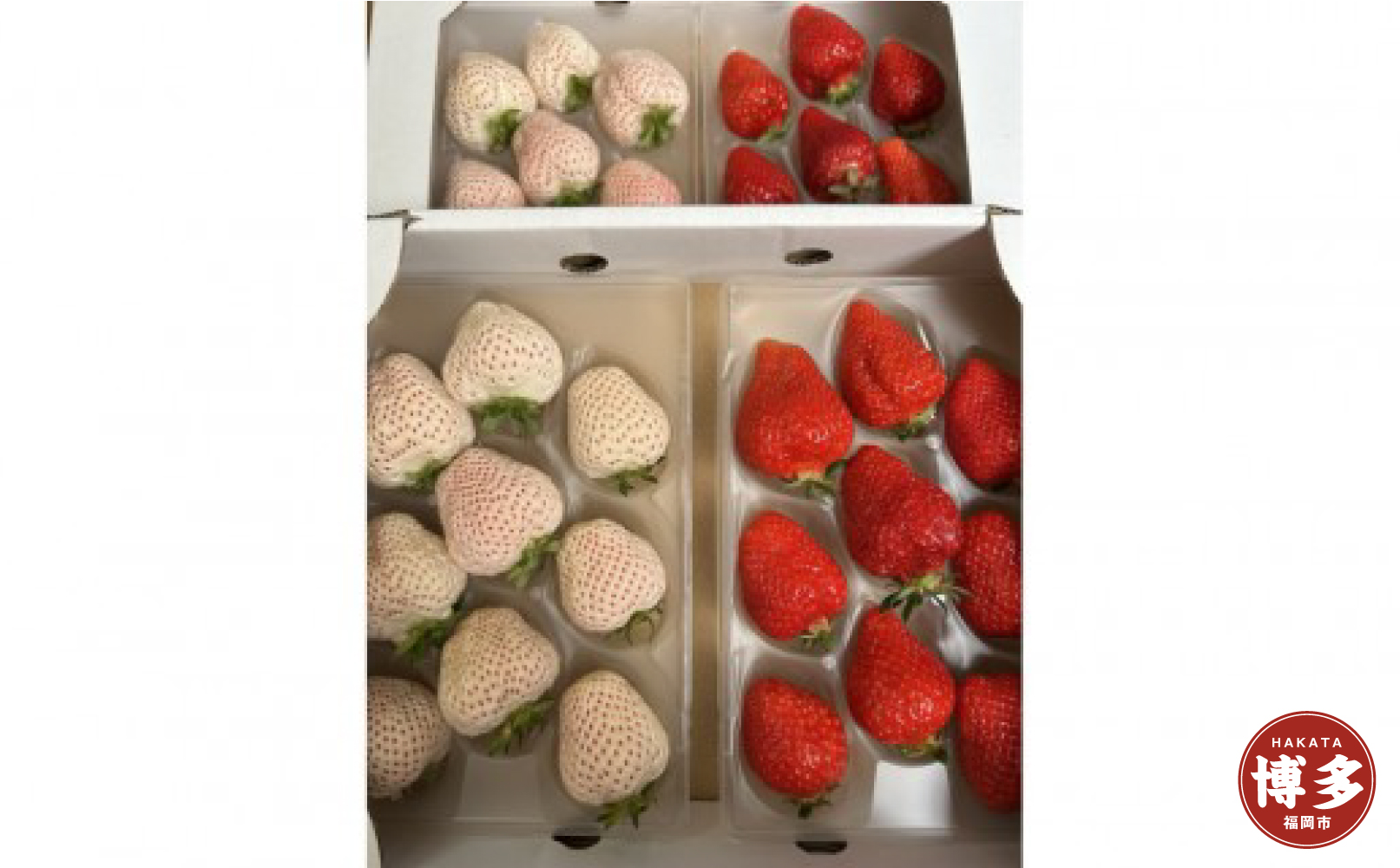 あまおうと天使のいちご紅白セット1000ｇ　福岡市志賀島産