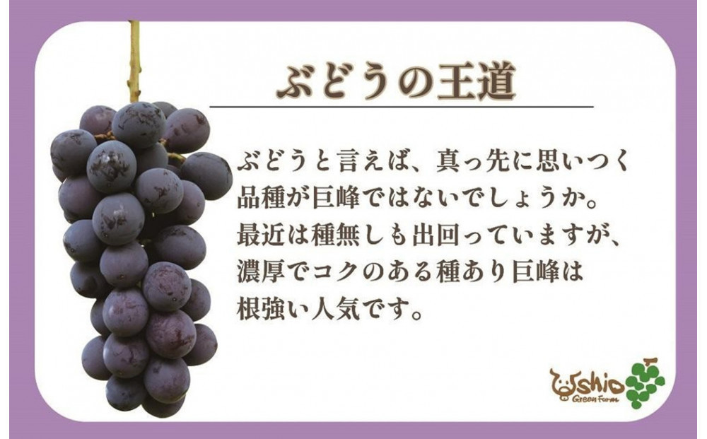 ã2026幎8æä»¥éé æ¬¡çºéãçŠå²¡åžç£å·šå³°2000g 5æ¿ååŸãåæµ·éã»æ²çžã»é¢å³¶çºéäžå¯ã