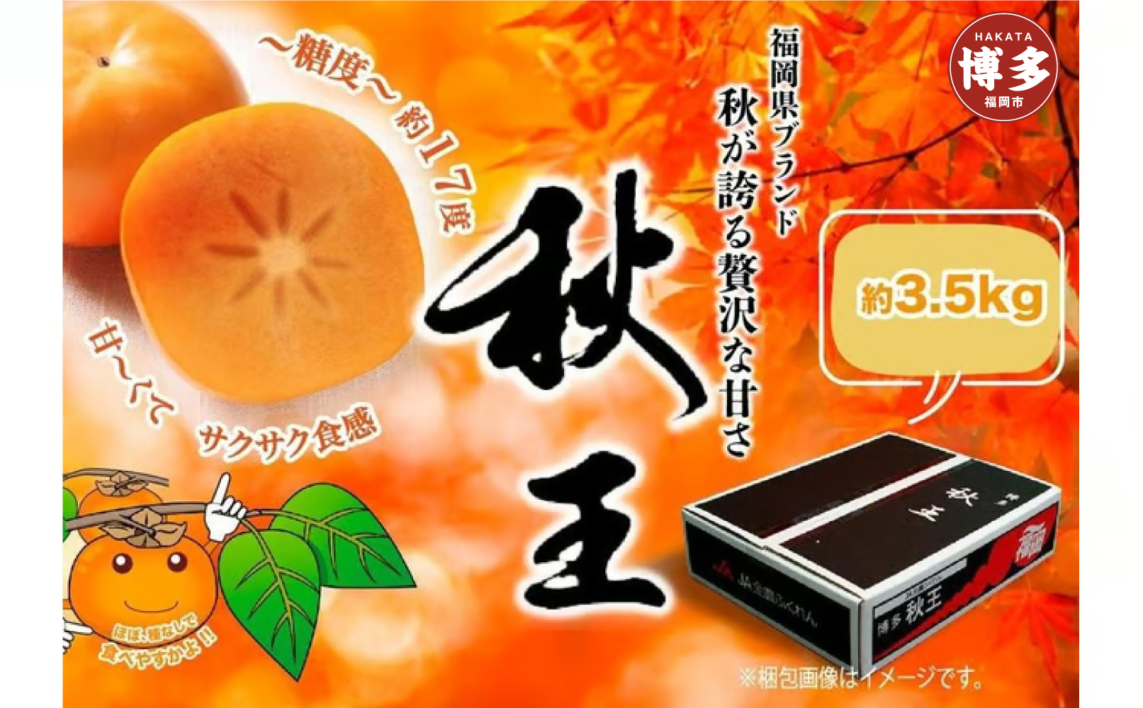 ＜2026年発送分・先行予約＞秋王　約3,5kg 　