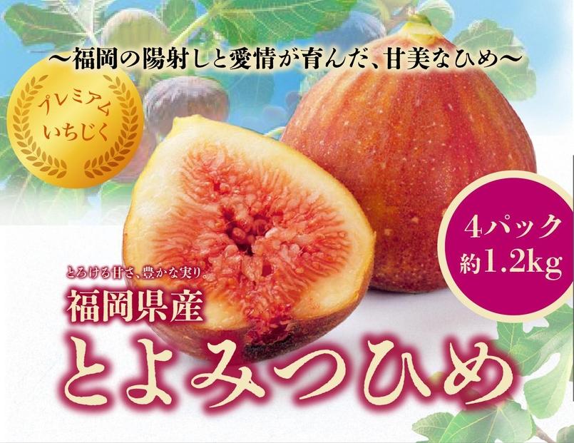 ＜2026年8月以降発送＞とよみつひめ　４パック約1200gセット（福岡市）