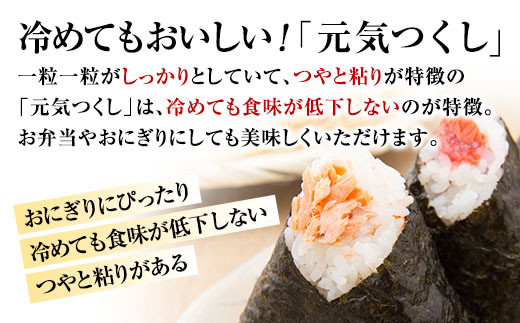 福岡県産めし丸元気つくし　10kg